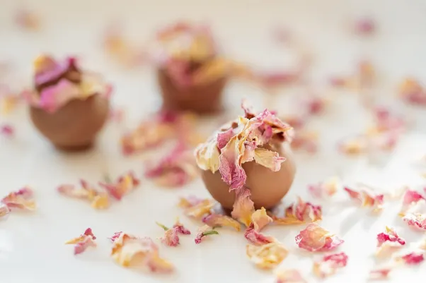 Cresus Kasino Android/iOS Sovellus